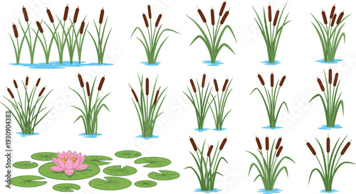 Wetland and Pond Plant Icon Set with Reeds, Cattails, Marsh Grass, and Water Lily Elements for Nature, Ecology, and Landscape Designs
