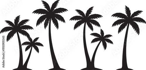 Black silhouette palm trees of varying heights and angles on a white background also transparent background