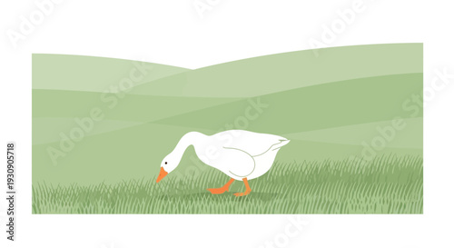 Serene White Goose Grazing In Lush Green Pasture
