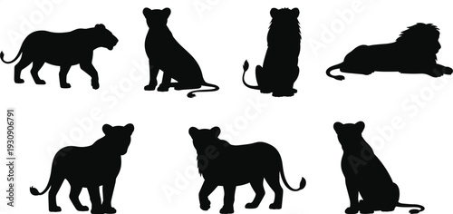 Lion family silhouettes collection featuring male, female and cub big cats, black vector wildlife illustration isolated on white background design set