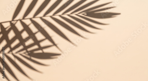 Elegant palm leaf shadow on beige surface