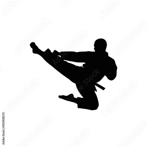 Silhouette of a martial artist delivering a high midair kick in action.