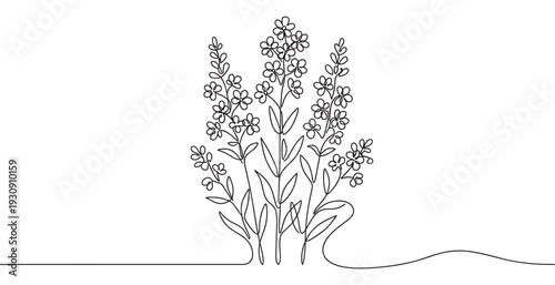 Continuous line drawing flowers botanical illustration with elegant minimalist style perfect for various design projects and natural themes.
