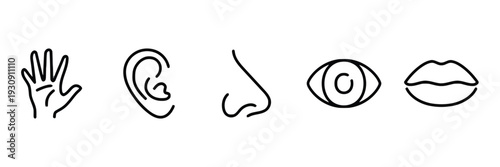 Five senses icons human senses symbols for touch hearing smell sight and taste