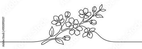 Flowering branch continuous line art illustration, minimalist elegant design featuring delicate blossoms and buds.