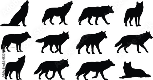 Photography Wolf Silhouette Vector Illustration Set Featuring Various Wild Animals Howling W