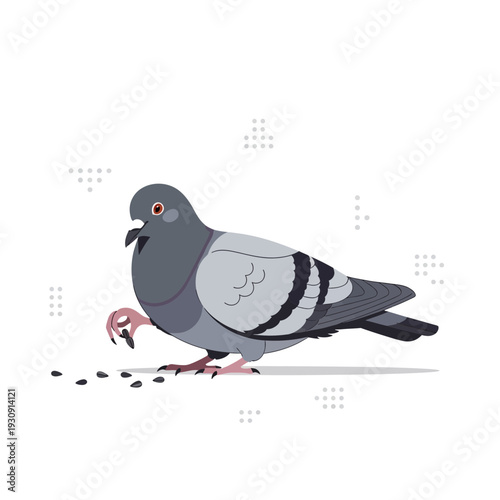 Urban Pigeon Foraging For Seeds On White Background Simple Flat Design Style