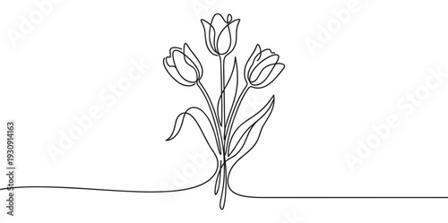 Three elegant tulip flowers drawn in a continuous line style create a beautiful minimalist floral illustration.