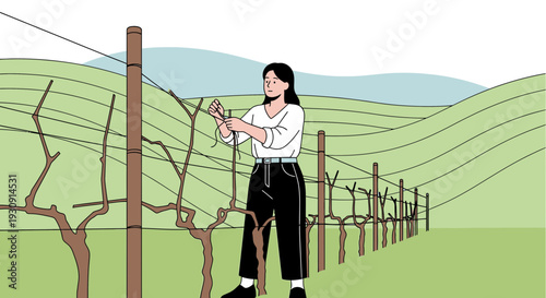 Vineyard Worker Tying Grape Vines Cultivating Agriculture