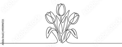 Continuous line drawing three tulips with elegant minimalist style forming a beautiful floral bouquet illustration perfect for spring designs.