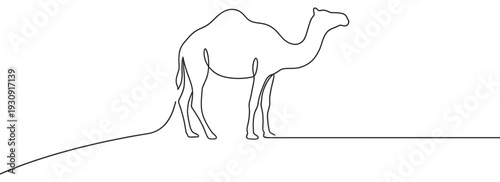Continuous line drawing of a camel standing gracefully, showcasing minimalist desert animal art and simple elegant design.