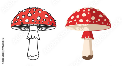 Two stylized amanita mushrooms one a contrasting black silhouette