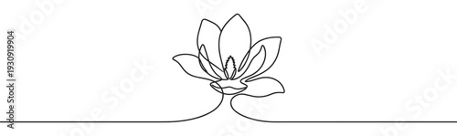 Magnolia flower elegant line art drawing illustration with a continuous single stroke creating a beautiful floral design.