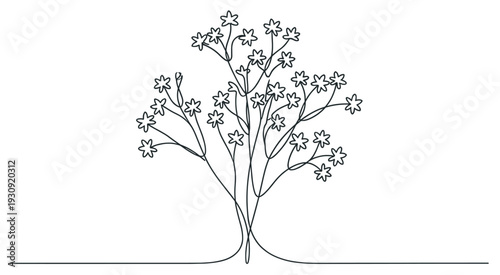 Continuous line drawing flowering plant with delicate blossoms on thin branches creating a beautiful minimalist botanical illustration design.