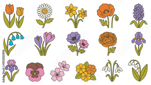 Diverse spring flowers collection showcasing a variety of charming blooms in a delightful retro cartoon style illustration with bold outlines.