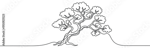 Continuous line drawing of a beautiful stylized tree with flowing branches and lush, cloud-like foliage representing growth and nature.