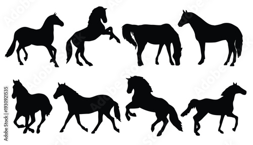 Assortment of horse silhouettes in various poses and actions