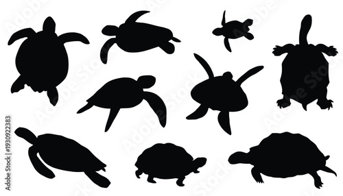 Assortment of sea turtles in silhouette swimming and resting