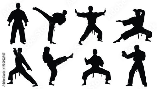 Black silhouettes of martial artists performing karate moves