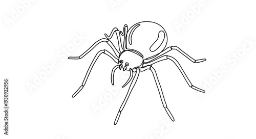 Minimalist outline drawing of a spider icon on a white background