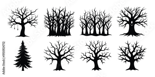 Collection of eight bare tree silhouettes with exposed roots isolated on white background