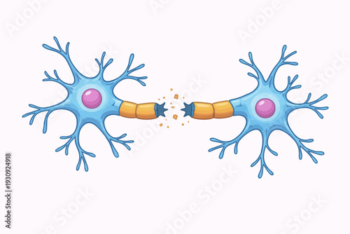 Illustration of two neurons with a broken connection between their axons, symbolizing nerve damage