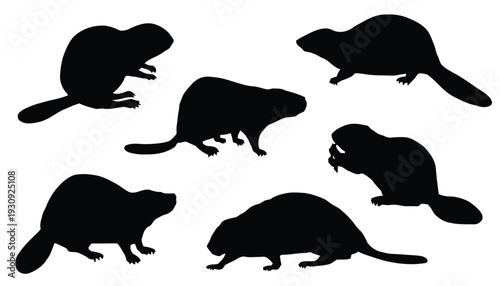 Collection of black silhouette illustrations of beavers in various poses, isolated on white background