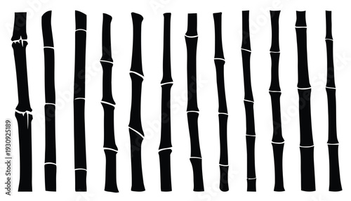 Collection of black silhouettes of bamboo stalks isolated on white background graphic elements