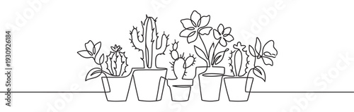 Continuous line drawing potted plants, cacti, and flowers arranged in a decorative row, showcasing minimalist botanical art.