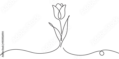 Beautiful minimalist tulip flower drawn in continuous line art style, symbolizing spring, elegance, and natural beauty on a clean canvas.