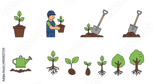 Colorful vector icon set illustrating the process of planting gardening and tree growth stages.