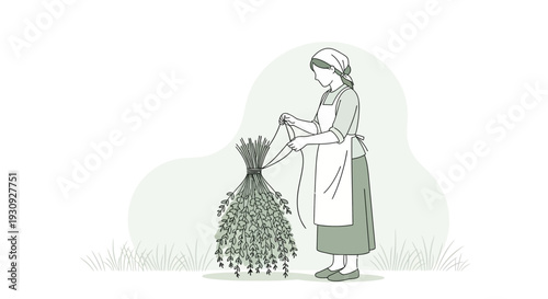 Woman Tying Herbs For Drying Harvest In A Minimalist Style Illustration