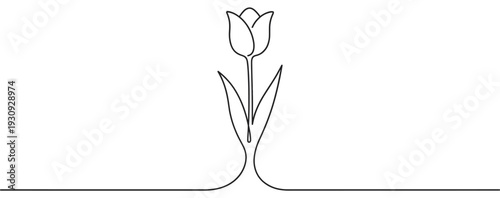 Single tulip flower continuous line art drawing capturing the essence of spring bloom and elegant minimalist floral design.