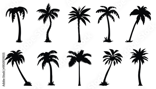 Diverse collection of black silhouette palm trees