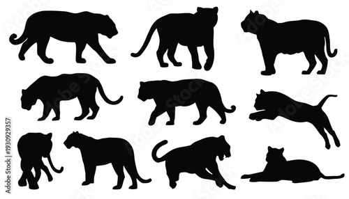 Collection of tiger silhouettes in dynamic poses and actions