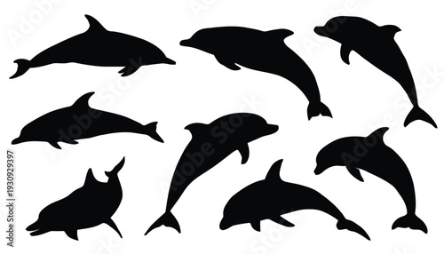 Dynamic silhouettes of dolphins leaping and swimming