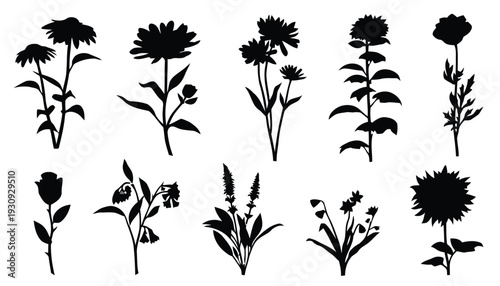 Flower silhouettes with stems and leaves isolated on white background vector collection