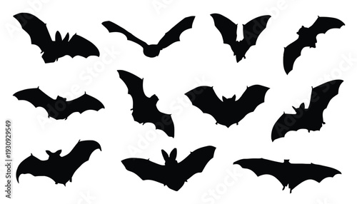 Eleven silhouettes of bats flying in various orientations