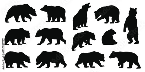 Group of black bear silhouettes in various poses on white background vector graphics