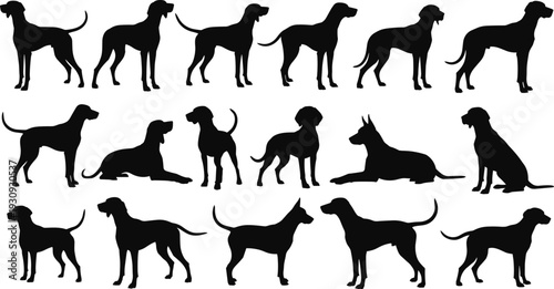 Set of silhouette dog breed icons including hunting hounds and pointers in various poses like standing sitting and lying for design