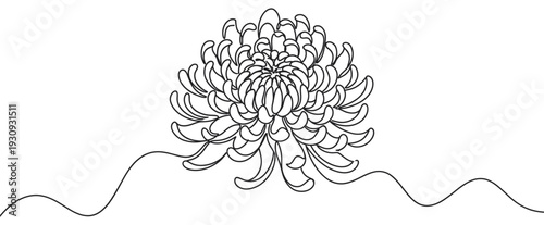 Chrysanthemum flower drawing in a minimalist continuous line art style with elegant wavy elements for a serene design.