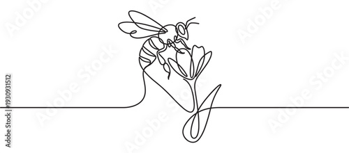 Bee pollinating a beautiful flower drawn in elegant continuous line art style, symbolizing nature's delicate balance and ecosystem.