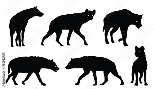 Multiple hyena silhouettes in various walking and standing poses