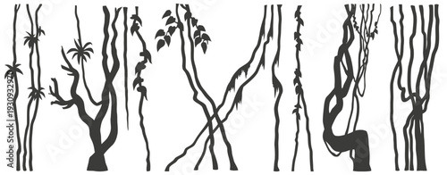 Jungle vines and exotic plants silhouette set on white background jungle nature elements