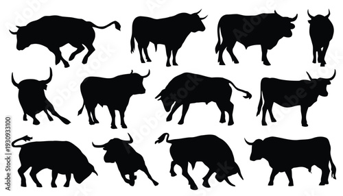 Powerful bull and ox silhouettes in charging and standing poses