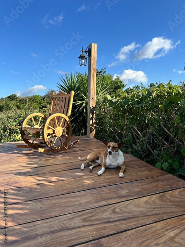 A peaceful outdoor scene featuring a relaxed dog lying on a wooden deck beside a rustic rocking chair, surrounded by lush green vegetation and mountains under a bright blue sky