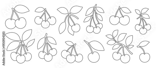 Cherry fruit outline set. Minimalist line art collection of cherries with stems and leaves. Black contour botanical drawings