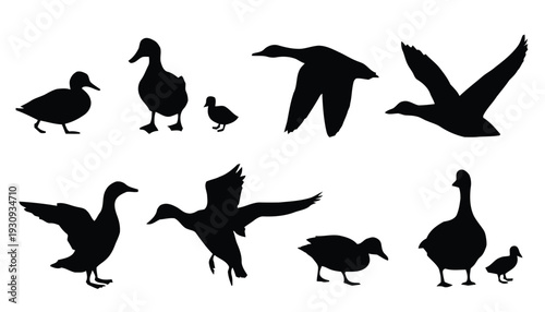 Set of black silhouette ducks in various poses, including flying and standing