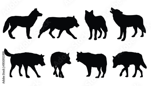 Set of eight silhouettes of wolves in different poses and actions