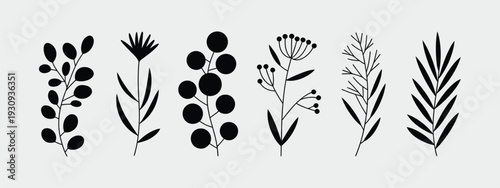 A collection of intricate and delicate floral designs in a variety of styles and patterns isolated on white background, Vector, illustration